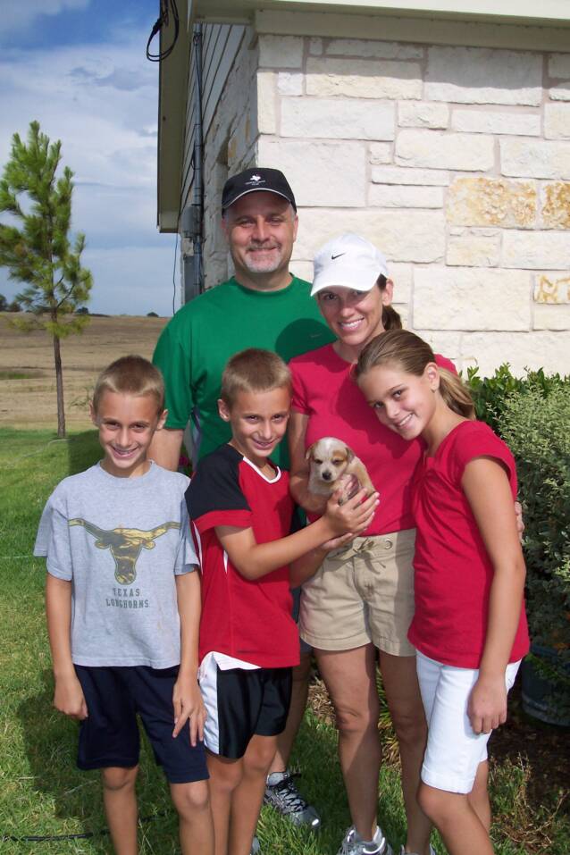 family - happy - austin - australian cattle dogs